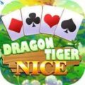 Dragon Tiger Teen Patti