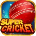 Super Cricket Rummy Game