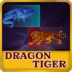 Dragon Vs Tiger Rummy APK