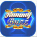 Rummy Buzz APK