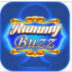 Rummy Buzz APK